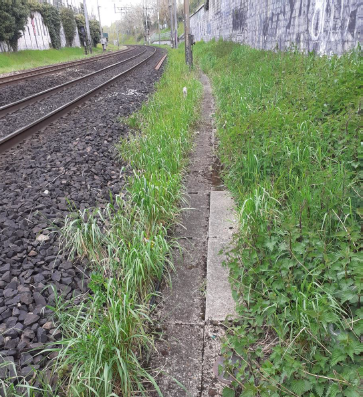 Bords d'une voie de RER